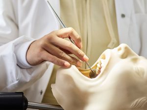 Image de la campagne Comme chez toi représentant le programme Techniques d'hygiènes dentaires.