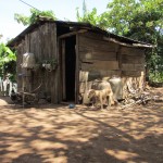 photo_liaisonneuve_4