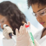 banniere_fillieres etudes