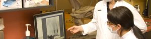 Deux technicienne en hygiène dentaire observant des radiographies buccales à un ordinateur.