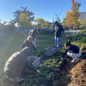 Groupe de personnes qui s'occupes des plans de la Ferme urbaine.