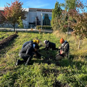 Groupe de personne qui s'occupent des plans de la Ferme urbaine.