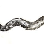 04_Portefolio_oeuvres_récentes_Anguille_Expo_Alexis Aubin-Laperri