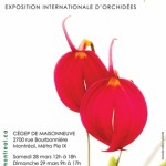 affiche_orchidees