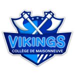 LOGO_VIKINGS_shadows_6x6pouces – Sur fond blanc